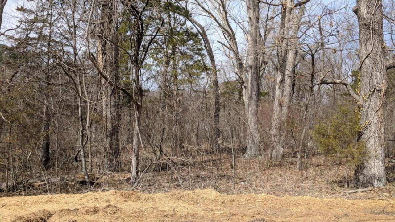 Tbd Ledge Dr. - Photo 1