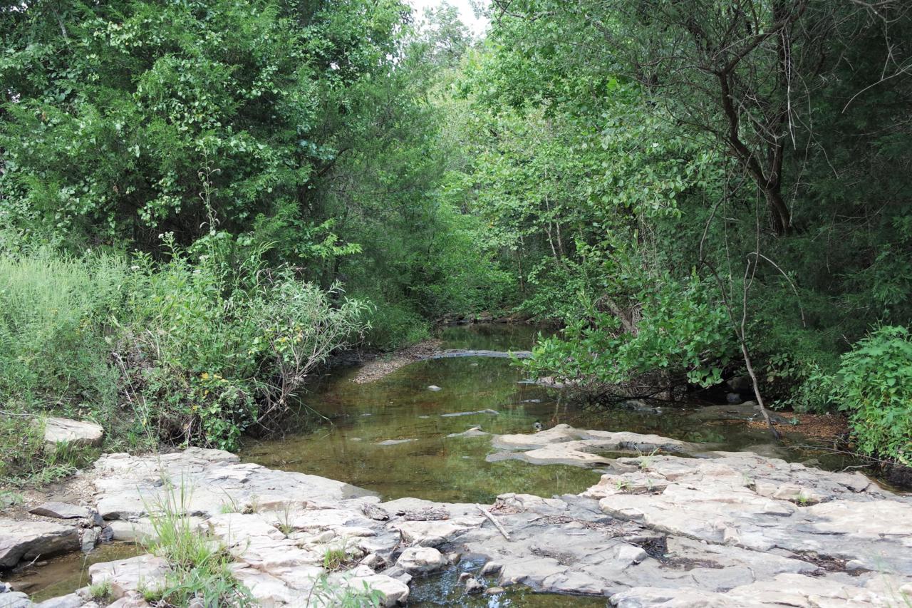 Tbd County Road 235 - Photo 1