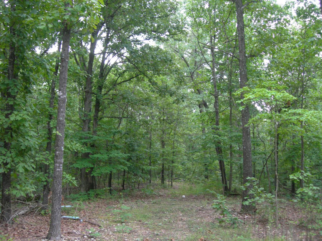 690 Grand Lane - Photo 1