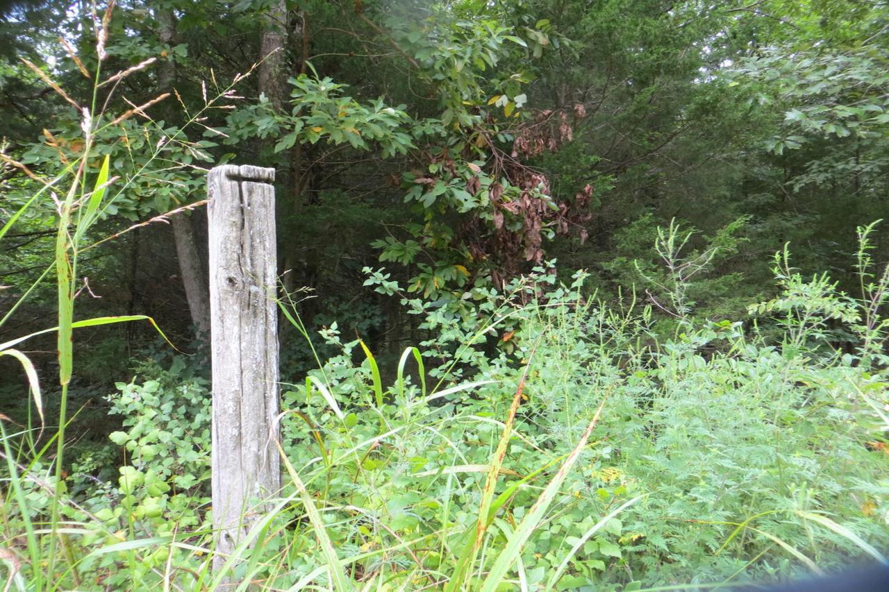 374 Music Hall Lane - Photo 1