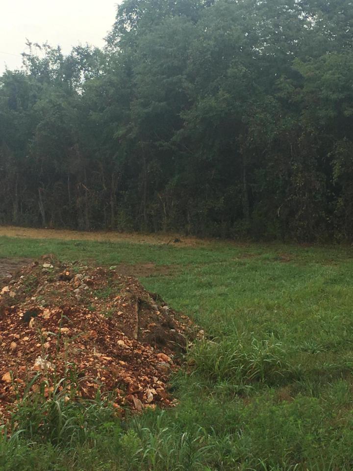 Lot 1 Huntington Ave - Photo 1