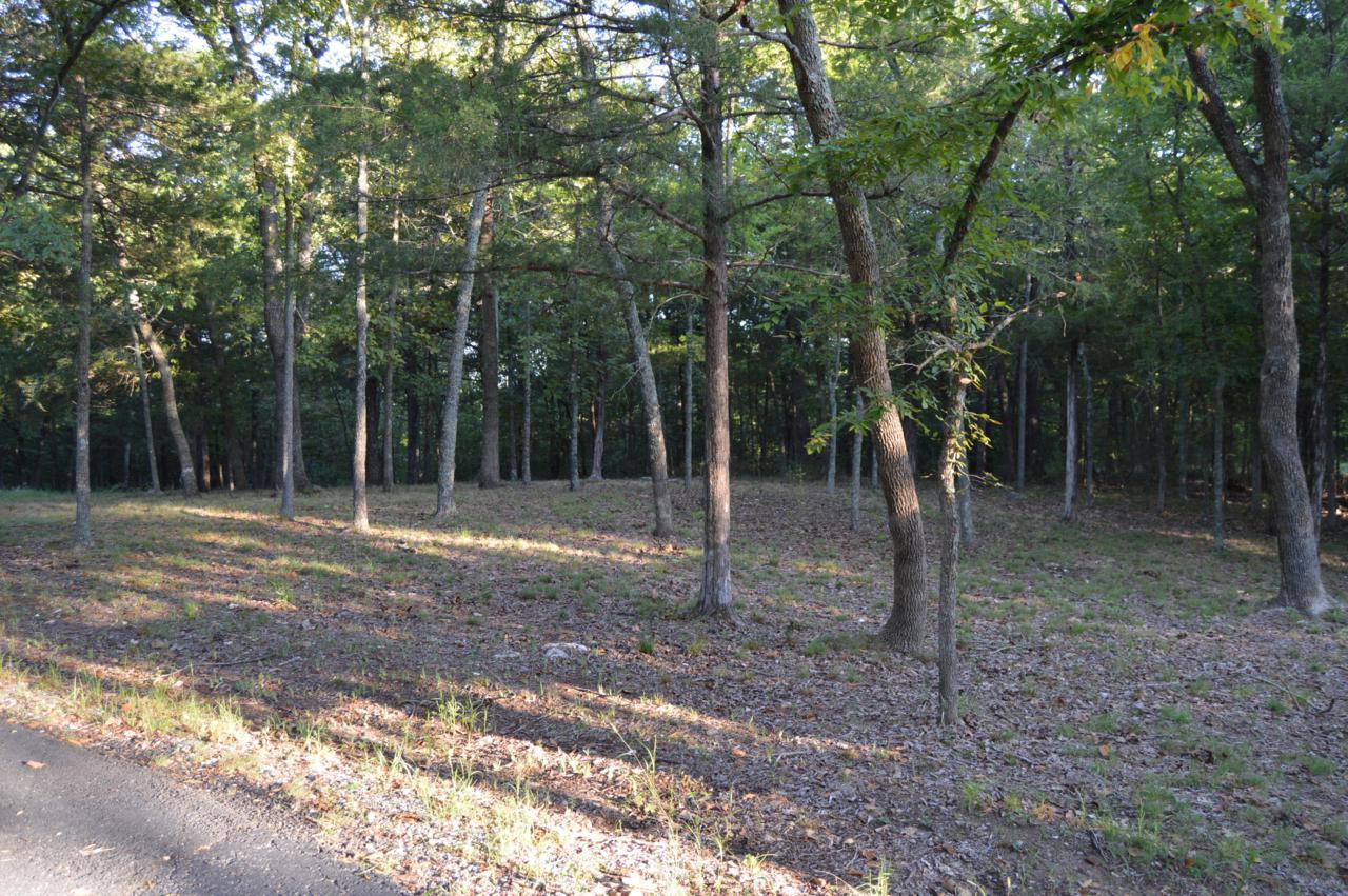 Tbd Pokeberry Ln - Photo 1