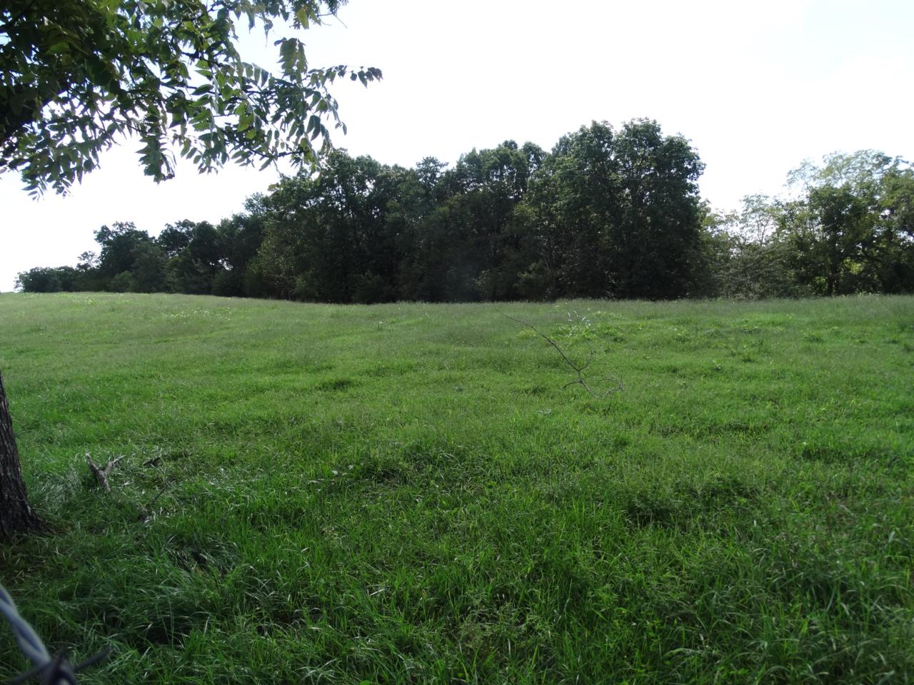 Tract 1 Sycamore Ranch Road - Photo 1