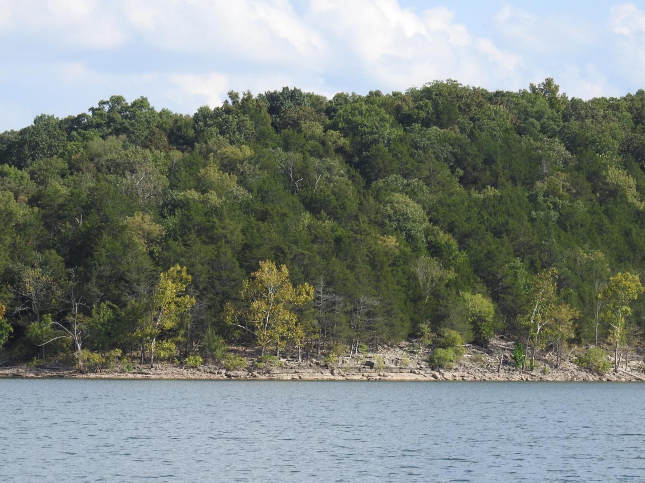 Tbd-Lake Front Lot Farm Road 1190 - Photo 1