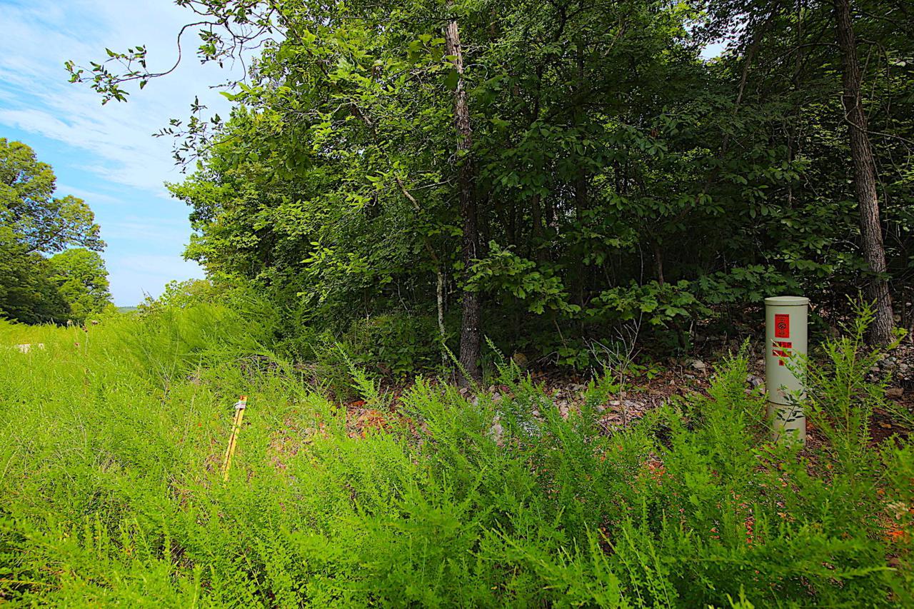 Lot 3a Riverside Ridge Estates - Photo 1