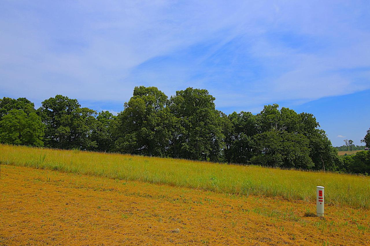 Lot 8a Riverside Ridge Estates - Photo 1