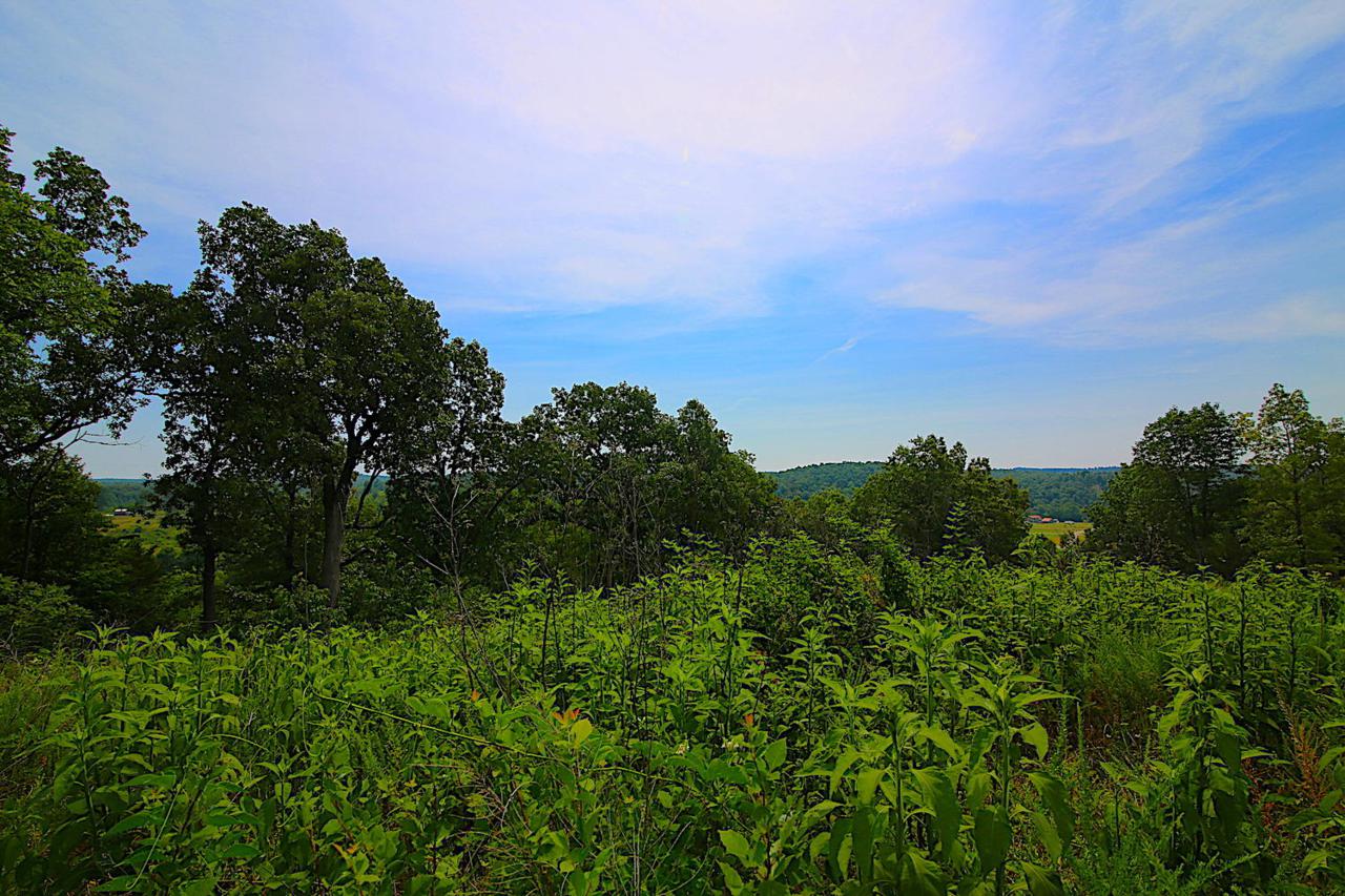 Lot 5a Riverside Ridge Estates - Photo 1