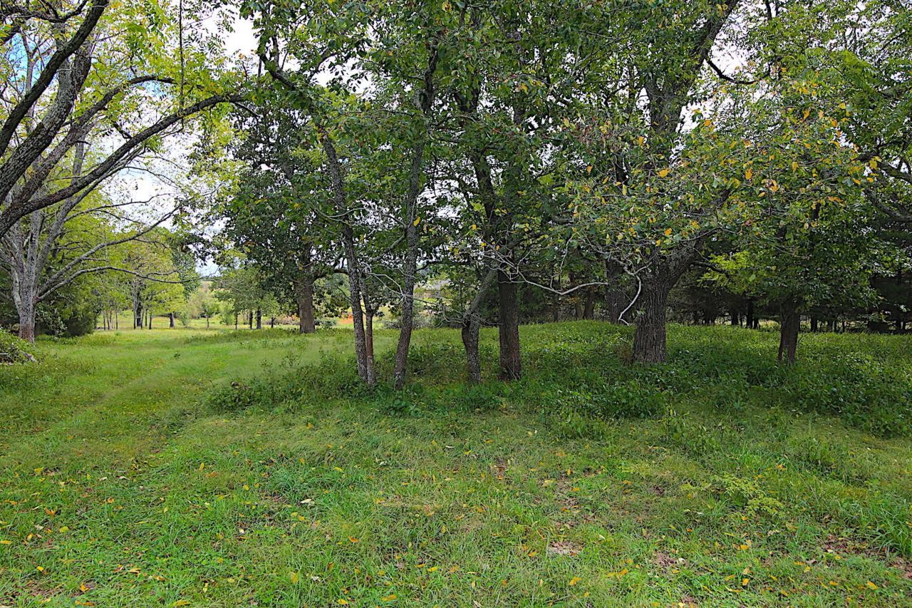 Tbd Bb Highway - Photo 1