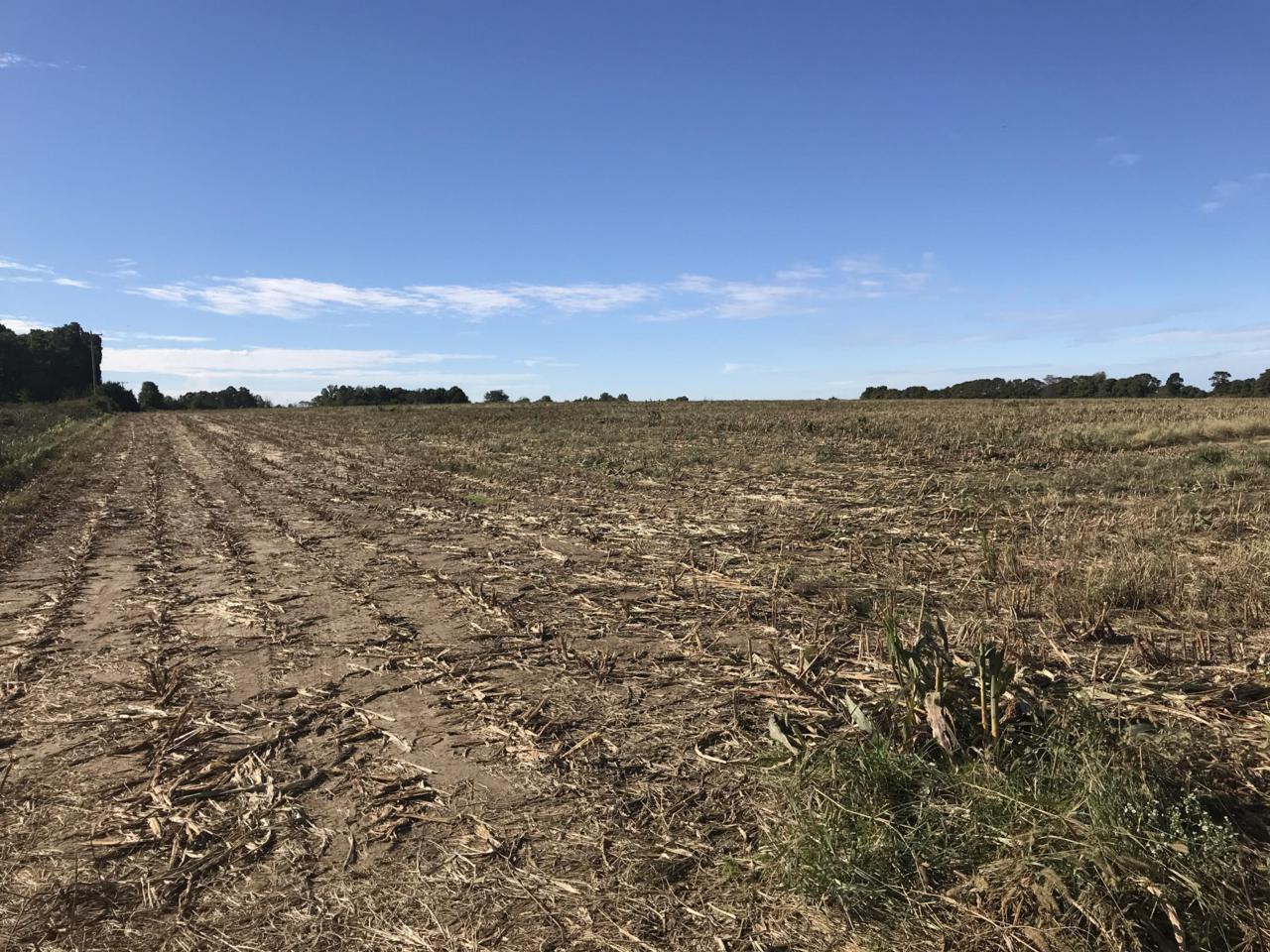 0000 Brumback Road - Photo 1