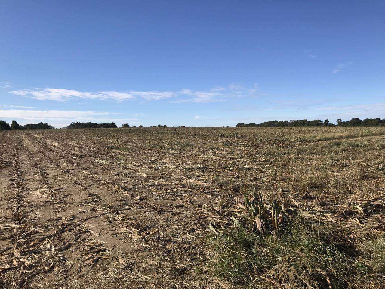 0000 Brumback Road - Photo 1