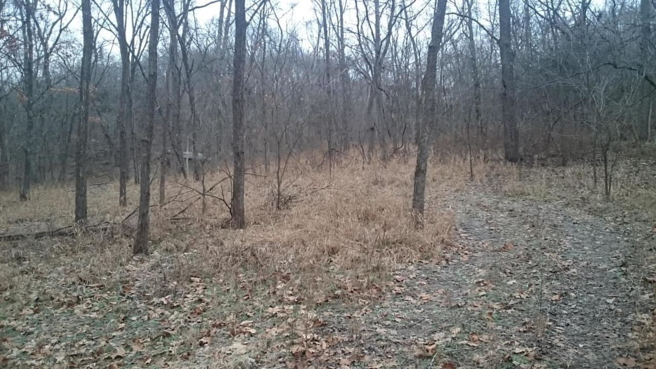 Tbd Little Missouri Road - Photo 1