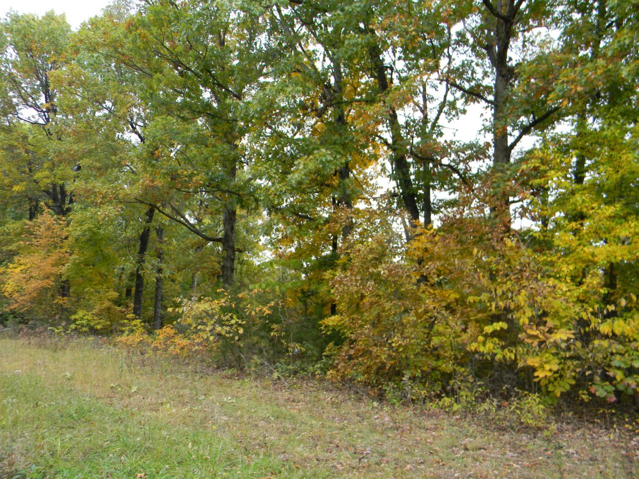 0 Huckleberry Road - Photo 1