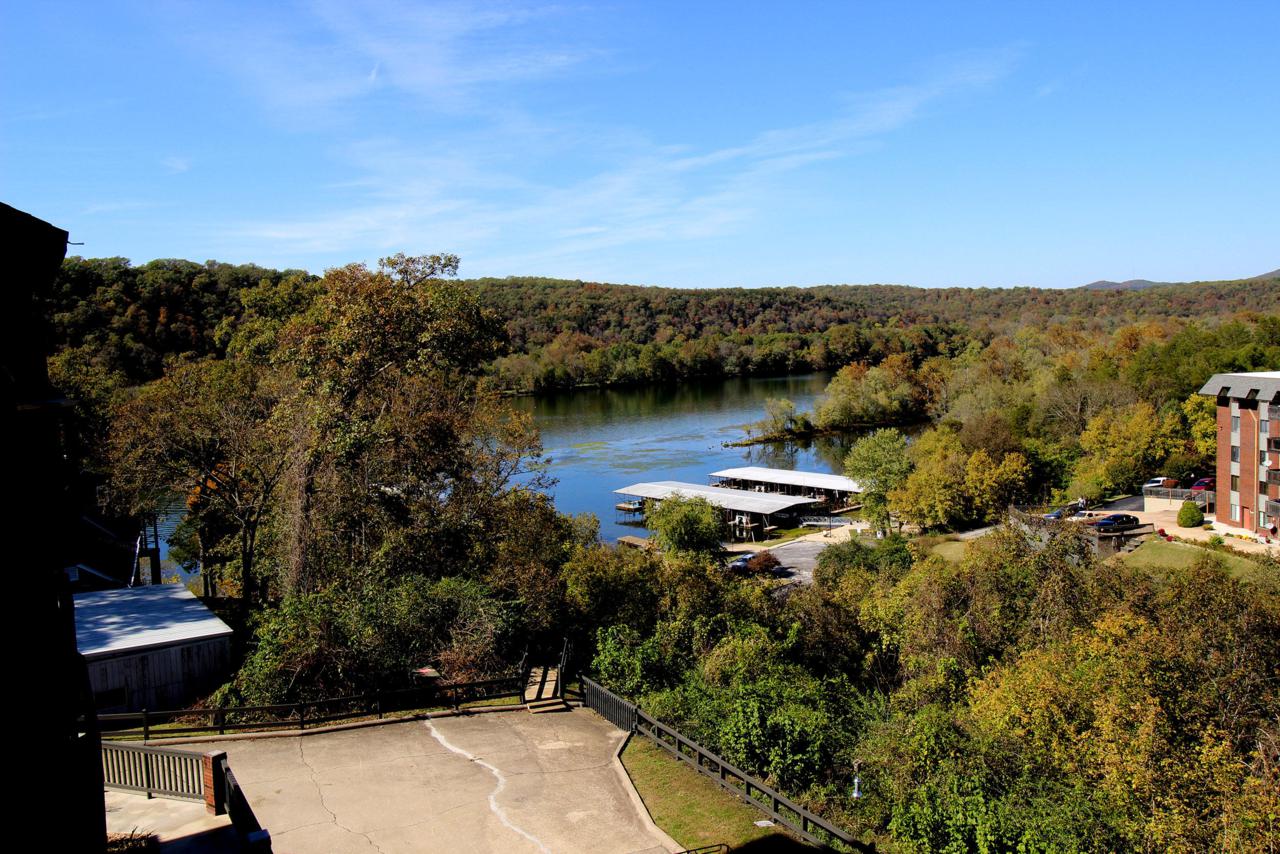 150 Sunken Forest Drive - Photo 1