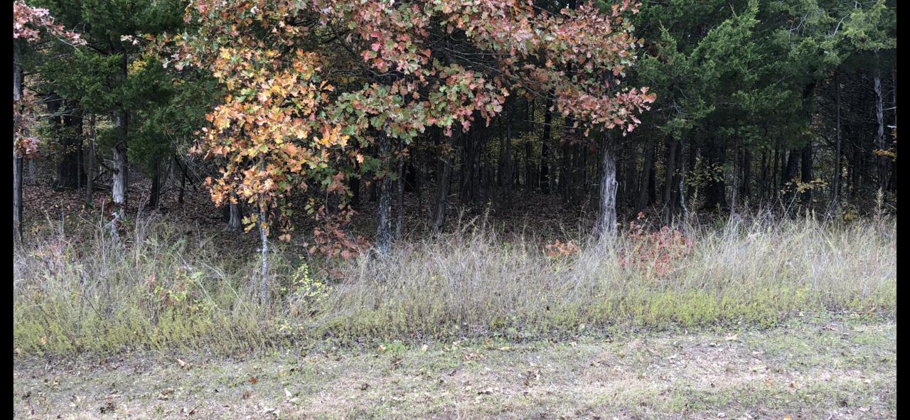 Lot 104 Summer Road - Photo 1