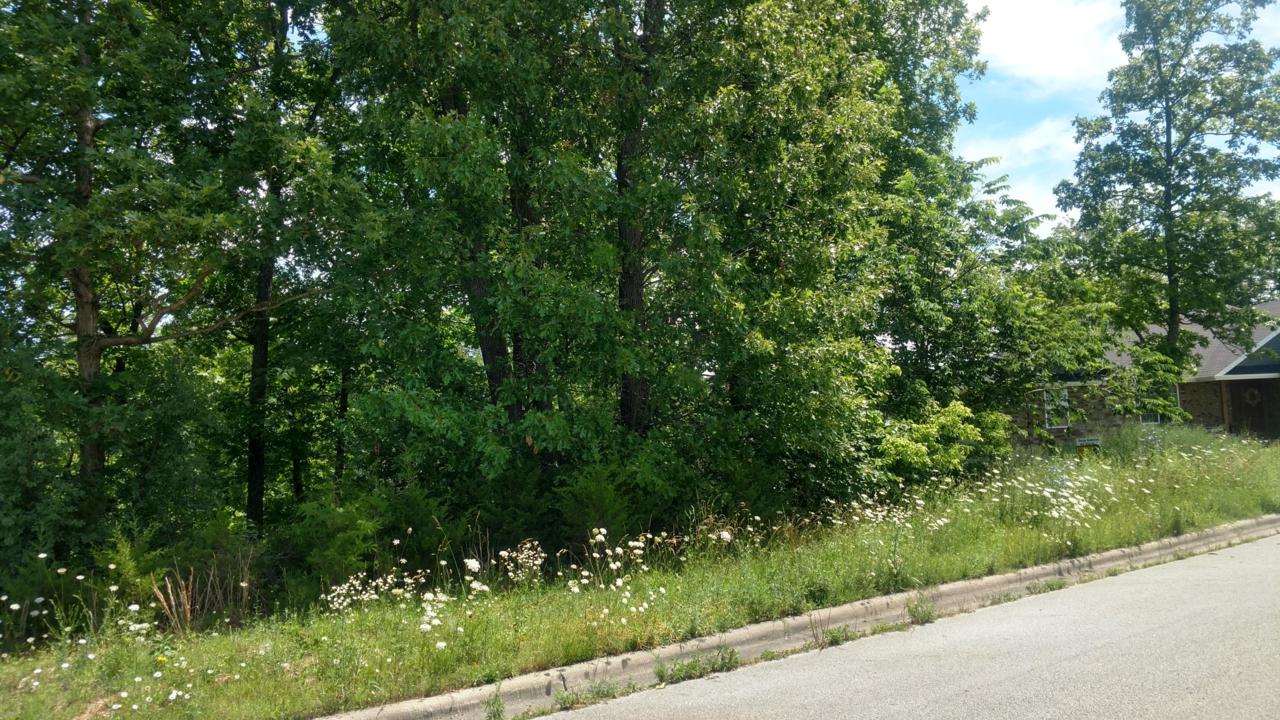 Lot 27 West Brook - Photo 1