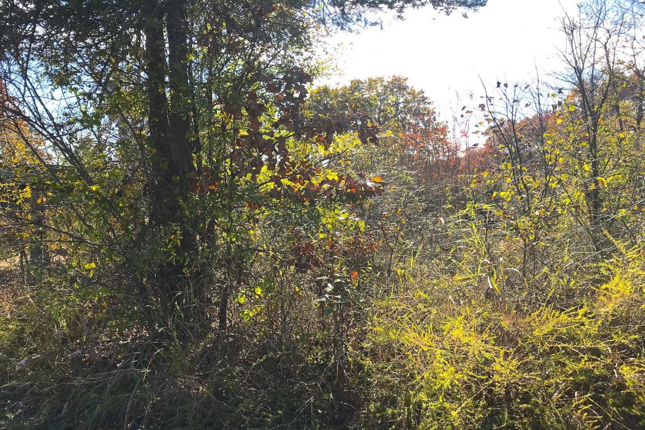 15535 5 Highway - Photo 1