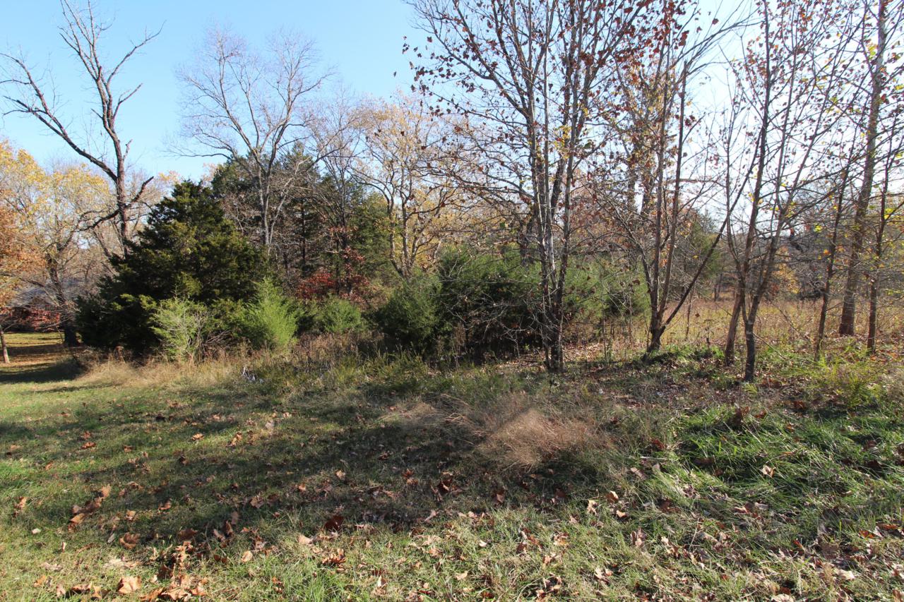 259 Spring Lane - Photo 1