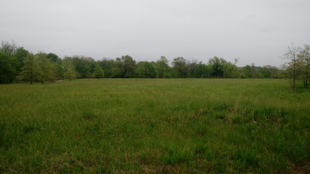 00 134th Road - Photo 1