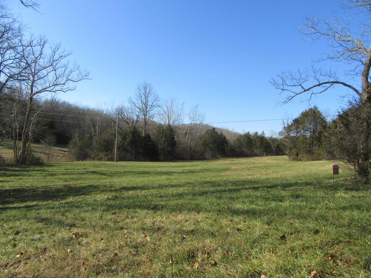 Tbd-7.75 Acres Dry Hollow Road - Photo 1