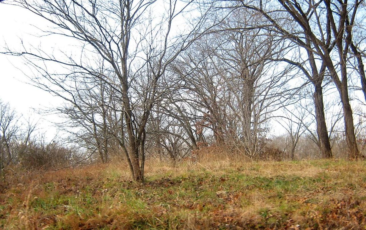 Tbd Oak Ridge Drive - Photo 1