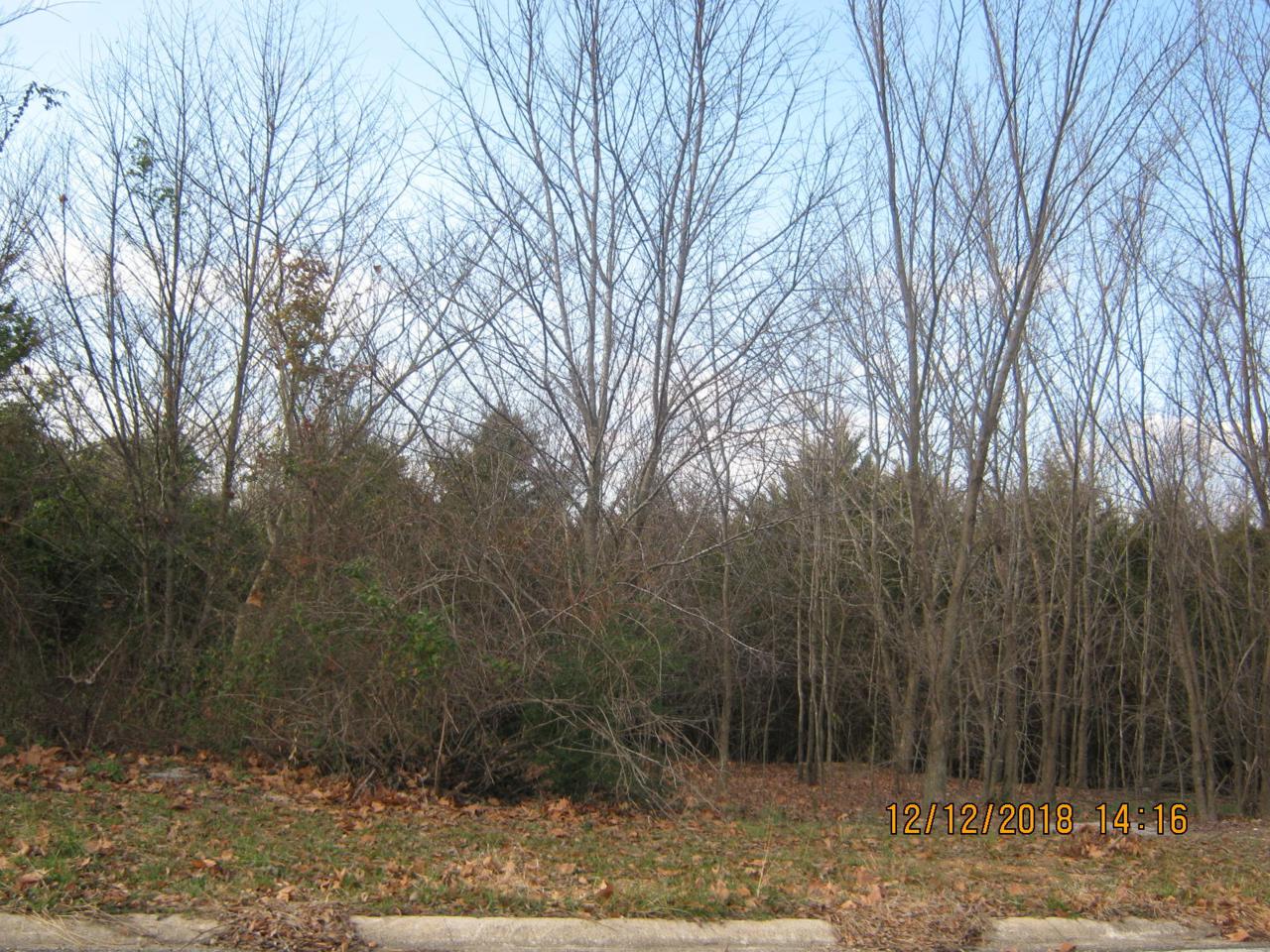 Tbd Oak Ridge Drive - Photo 1