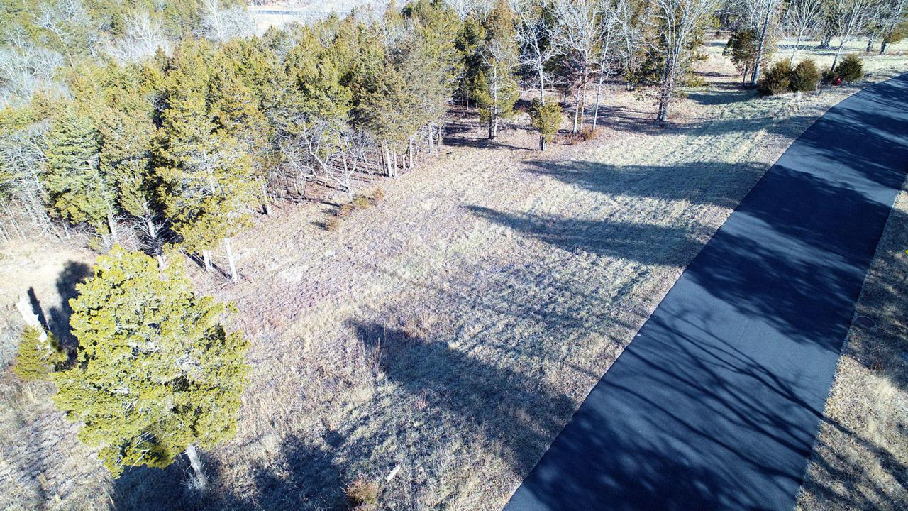 Tbd Lot 80A & Lot 82Bb Cedar Bluff - Photo 1