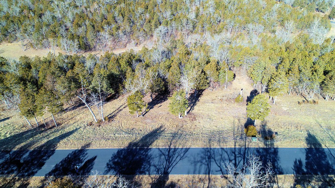 Lot 82bb Cedar Bluff - Photo 1