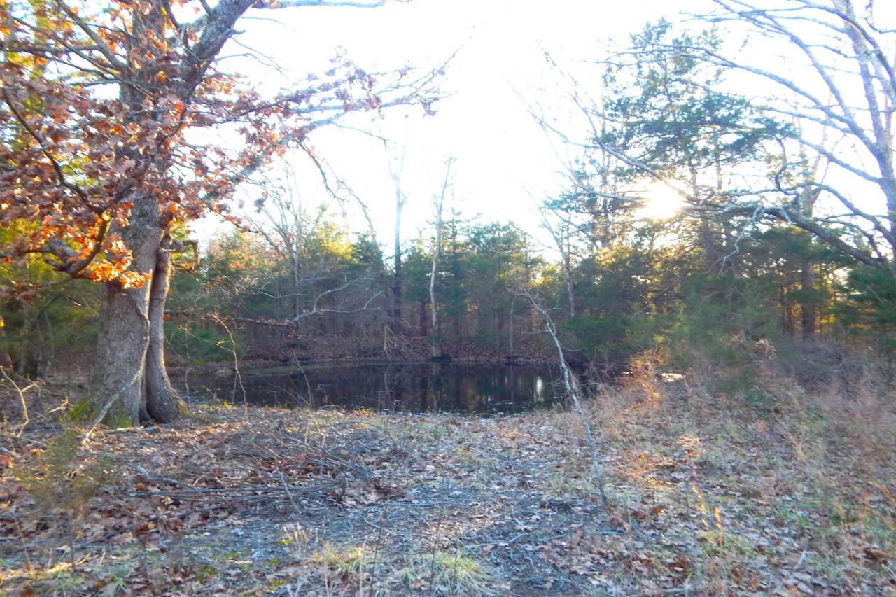 Tbd Ozark County Rd 0551 - Photo 1
