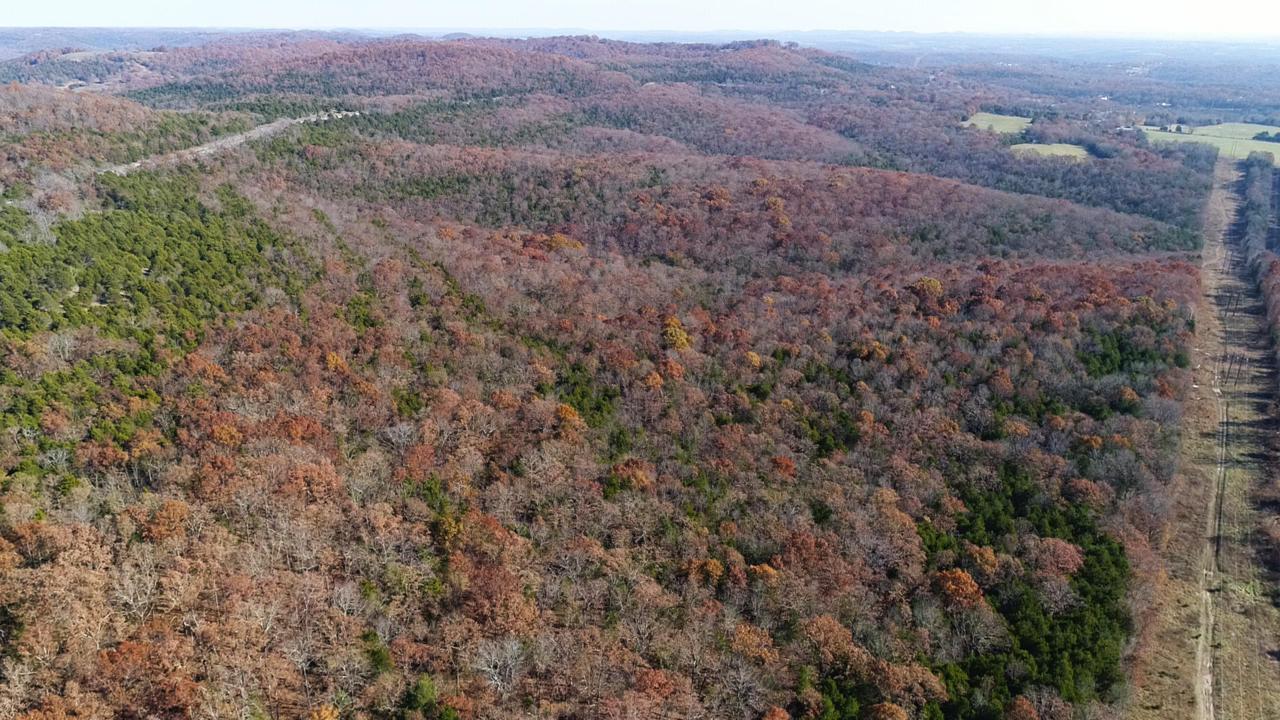 Tbd Highway 176 - Photo 1