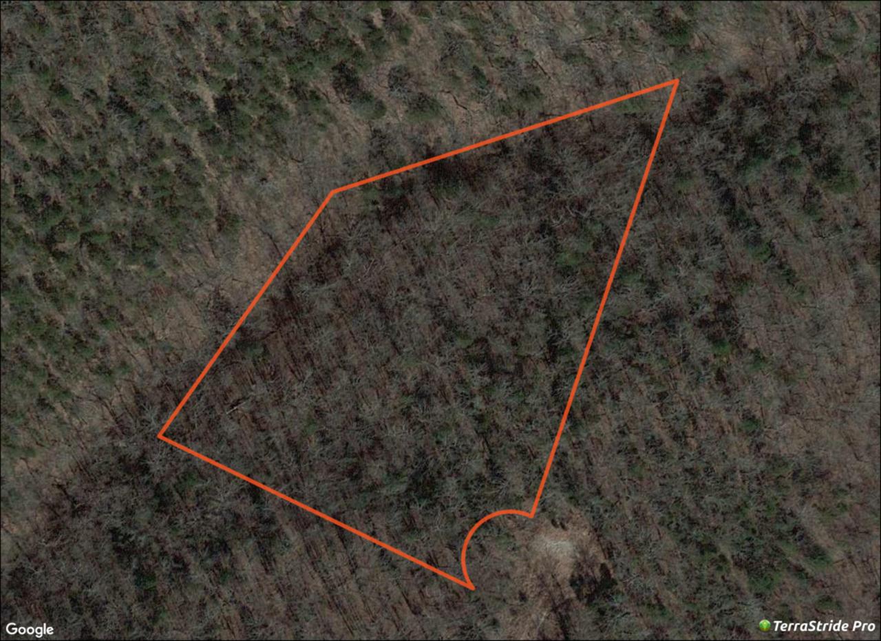 Lot 13 Savage Rd - Photo 1