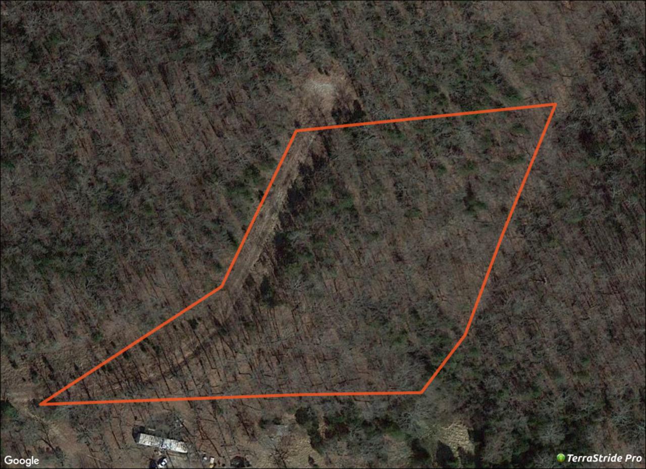 Lot 15 Savage Rd - Photo 1