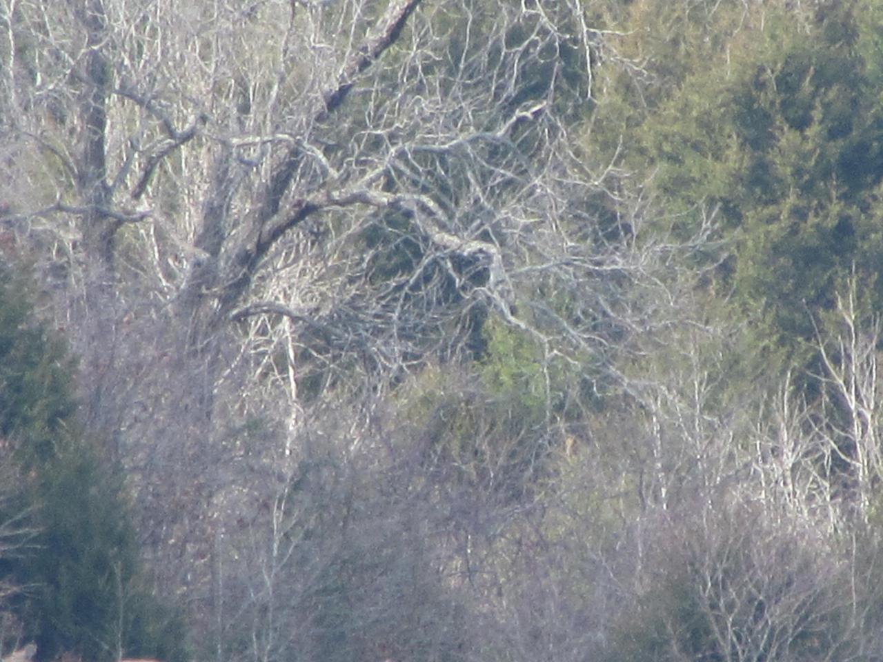 000 Hwy W - Photo 1