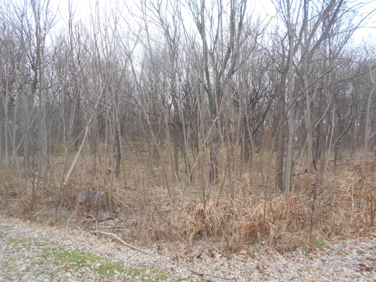 Lots 15-17 Northview Ter - Photo 1