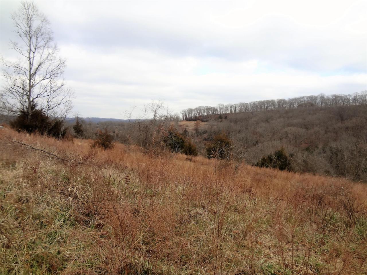 280 Jacks Hollow Road - Photo 1