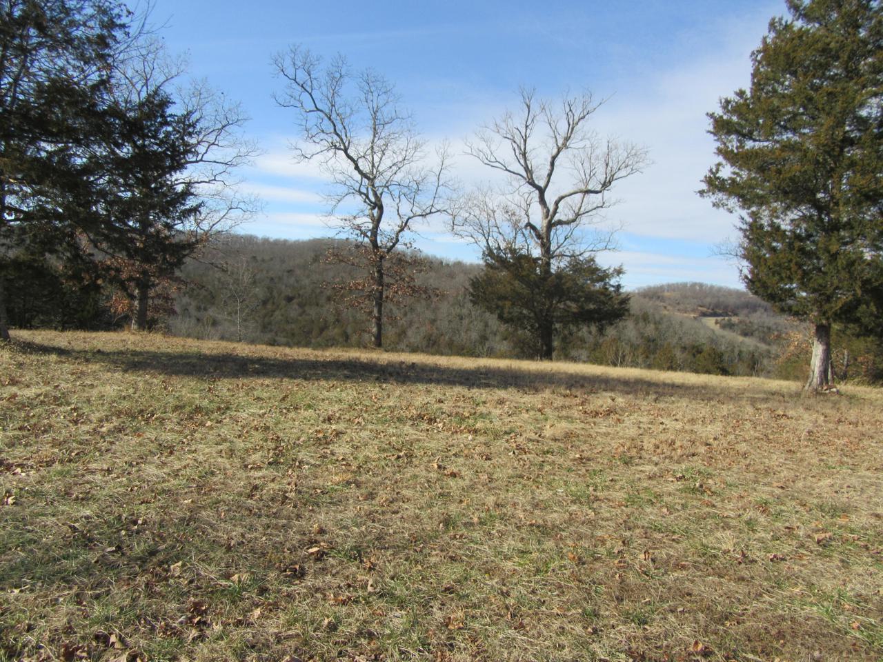 108 White Oak Court - Photo 1