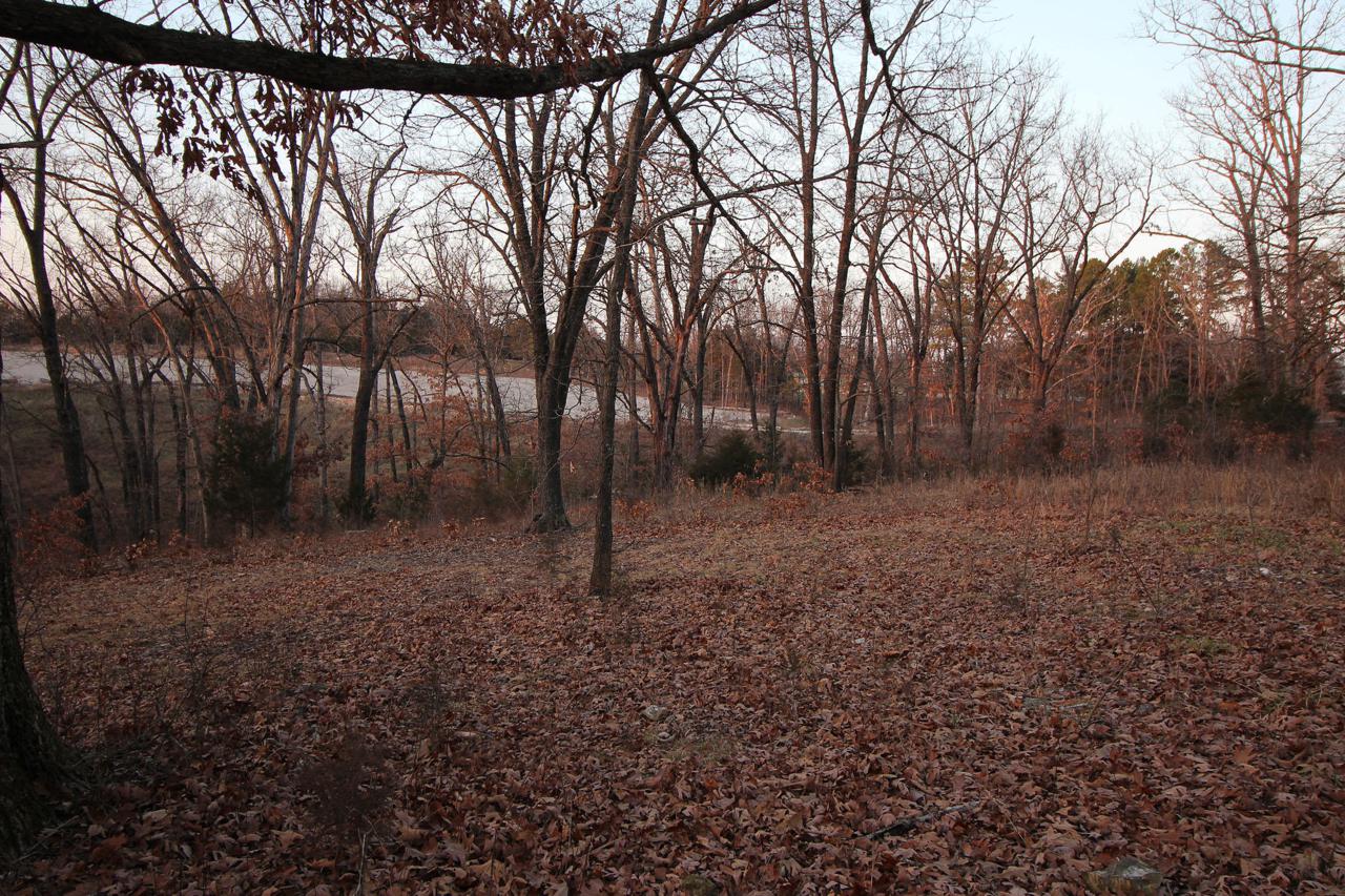 1140 Ridgedale Road - Photo 1