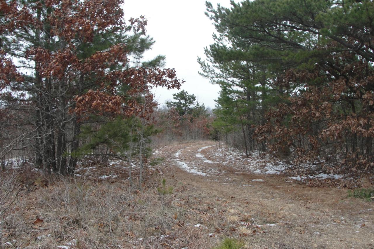 Lts84 & 85 Pine Meadow Trail - Photo 1