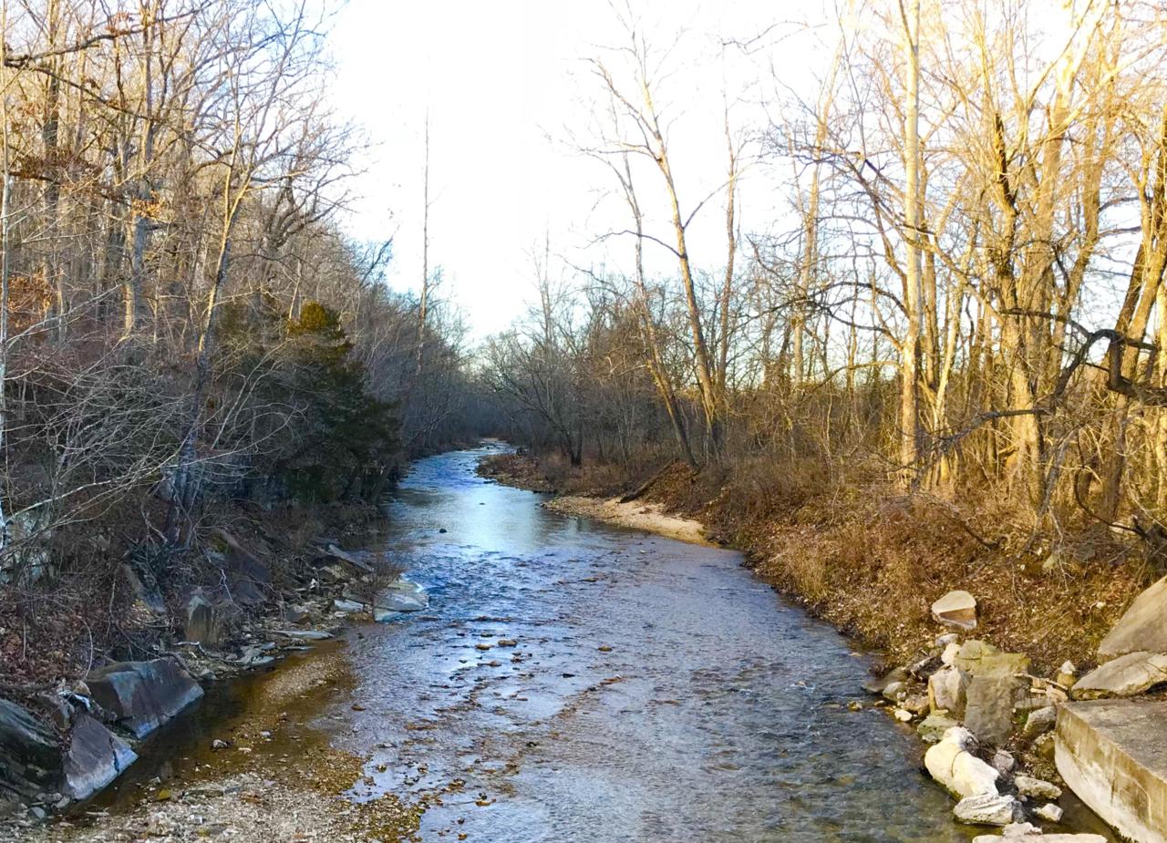 596 Little Creek Road - Photo 1