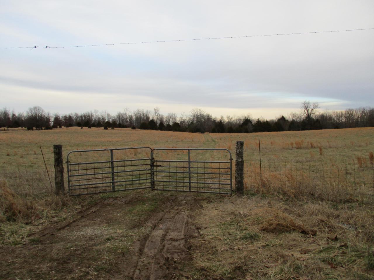 0 County Road 9790 - Photo 1