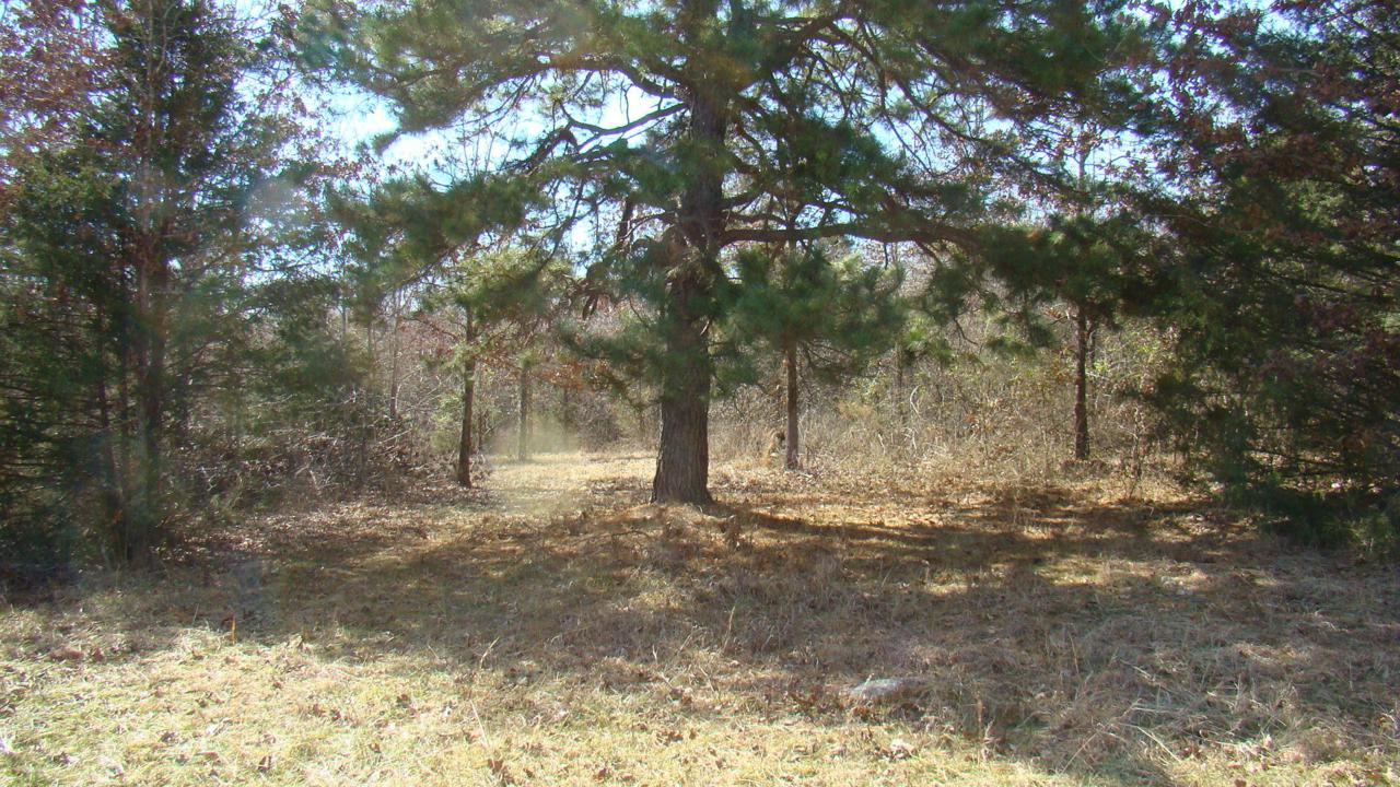 Tbd County Road 8530 - Photo 1