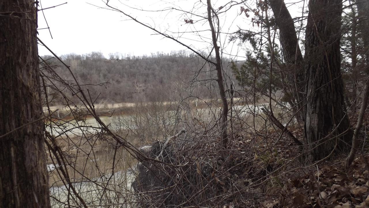 Tbd 1 Kings Point - Photo 1