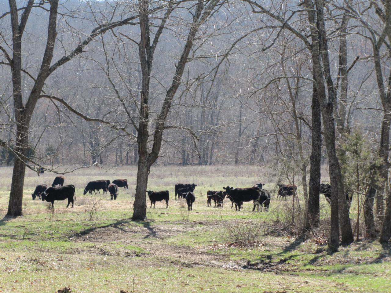 19560 Ranch Road - Photo 1