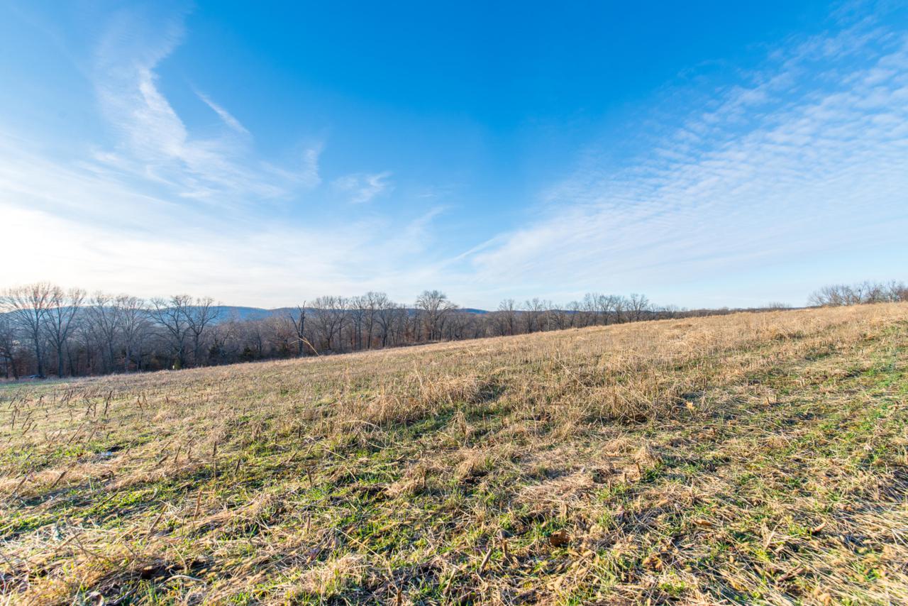 21513 Needles Eye Road - Photo 1