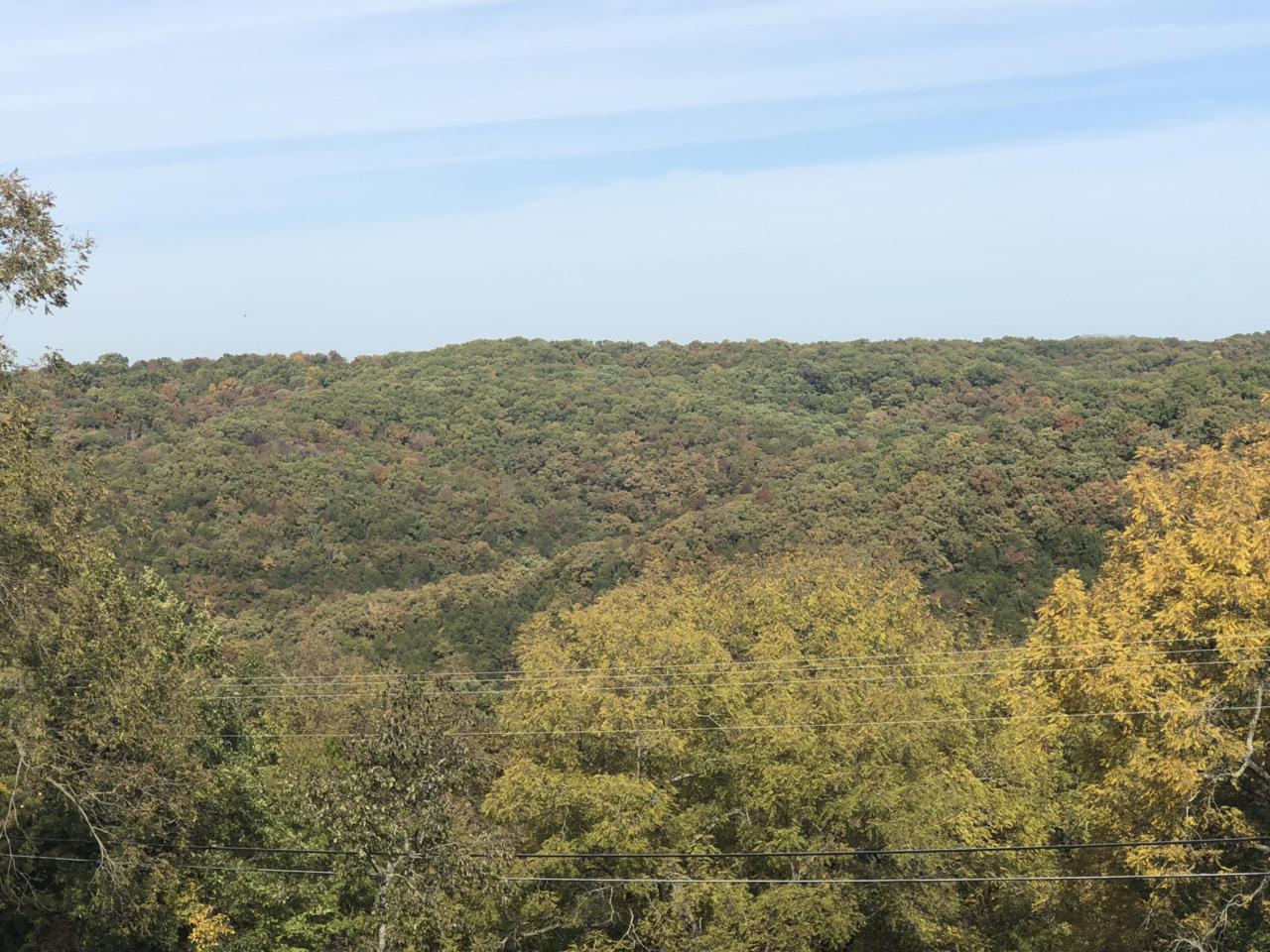 Lot 9 Irish Hill Estates - Photo 1