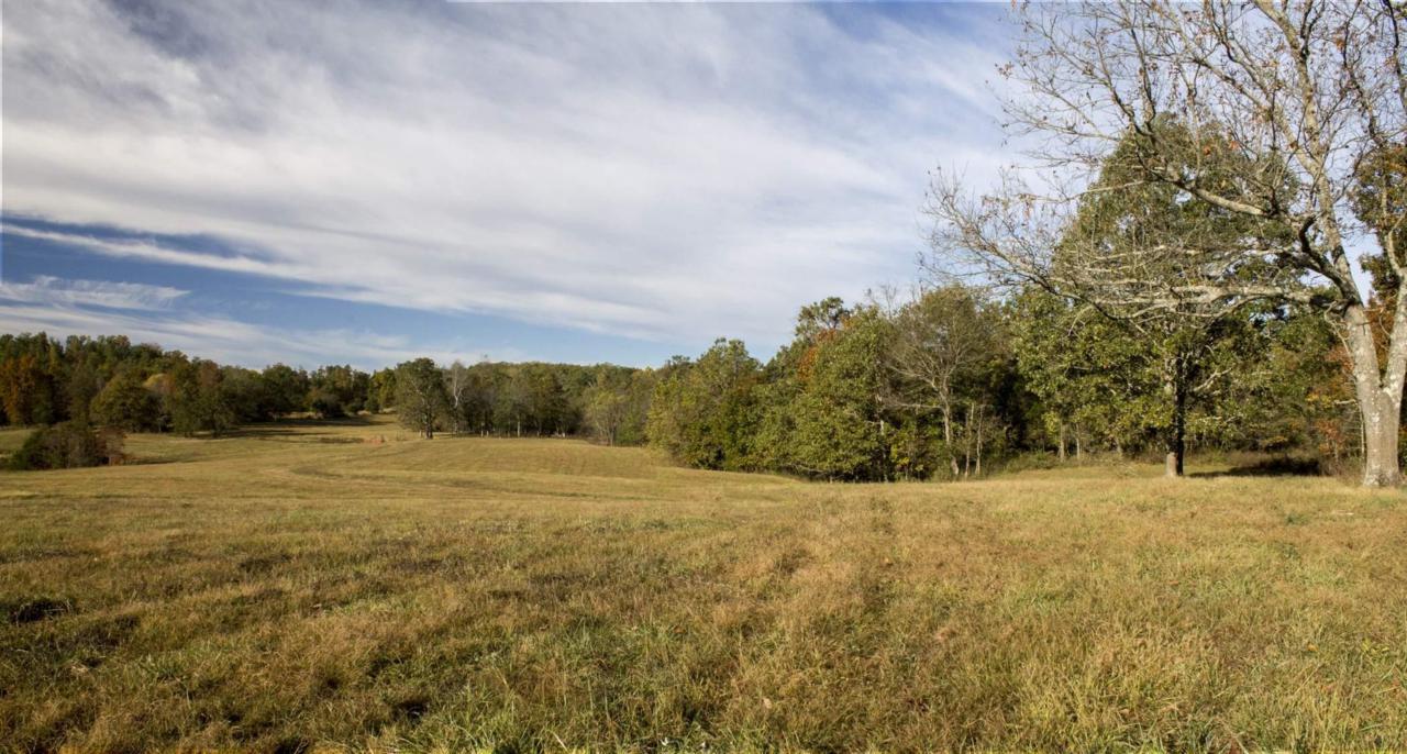 Tbd County Road 504 - Photo 1
