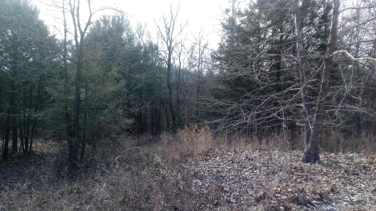 Tbd Montana Road - Photo 1