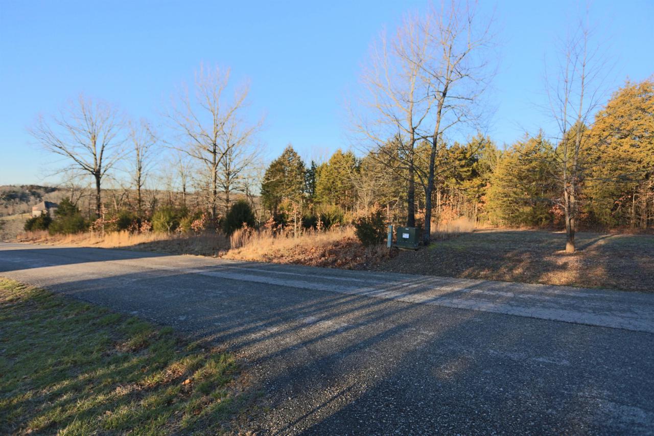 Tbd Peaceful Drive - Photo 1