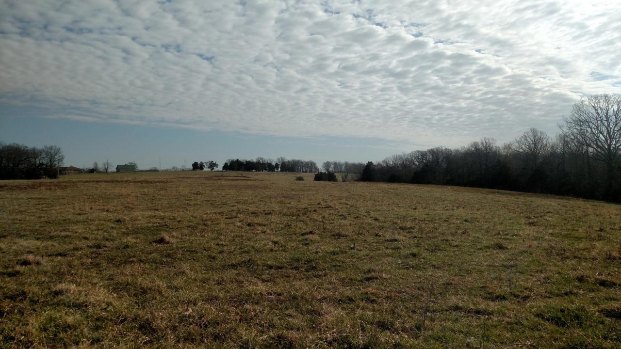 Tbd Moore's Bend Road - Photo 1