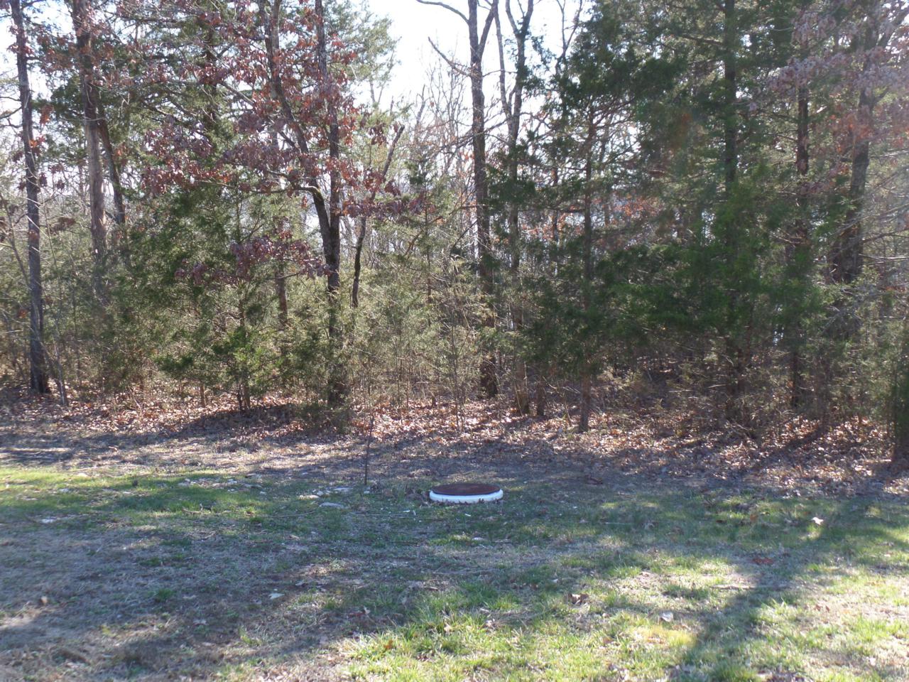Lot 22 Eagles Bluff Estates - Photo 1 Lot 22 Eagles Bluff Estates - Photo 1