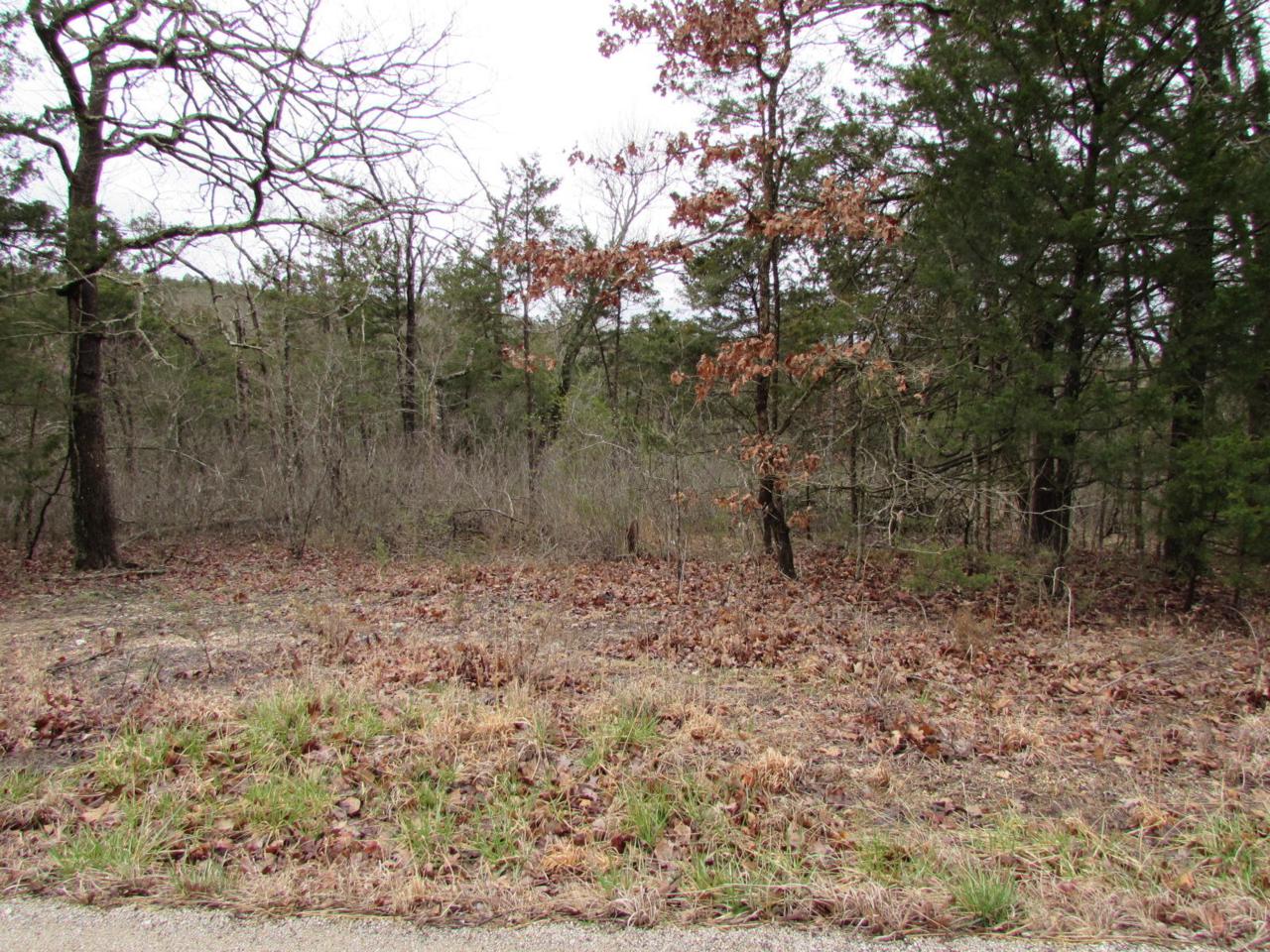 Tbd Timberlake Road - Photo 1